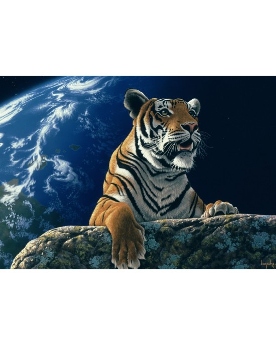 2000 κομμάτια ONLY ONE HOME