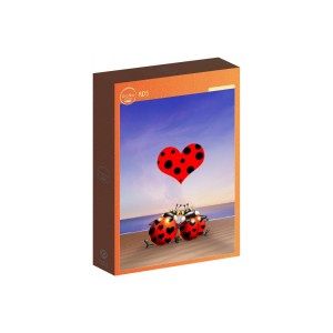 300 κομμάτια LOVE