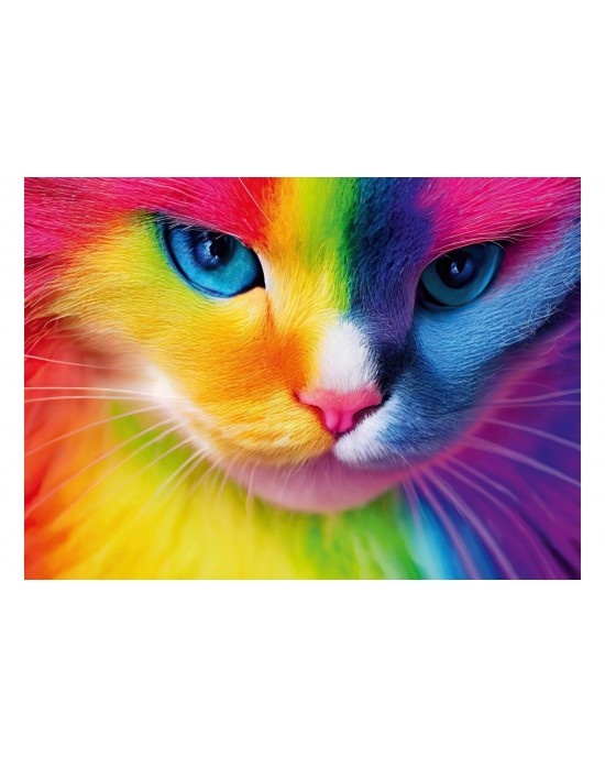 48 μεγάλα κομμάτια COLORFUL CAT