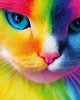 48 μεγάλα κομμάτια COLORFUL CAT