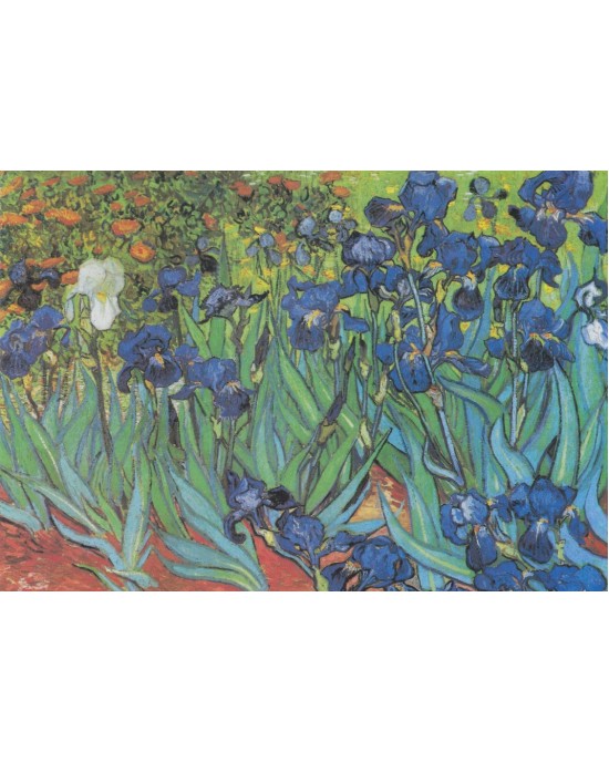 1000 κομμάτια IRISES 1889