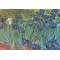 1000 κομμάτια IRISES 1889