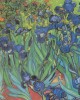 1000 κομμάτια IRISES 1889