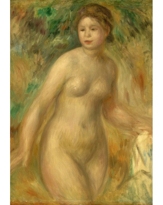 1000 κομμάτια NUDE, 1895