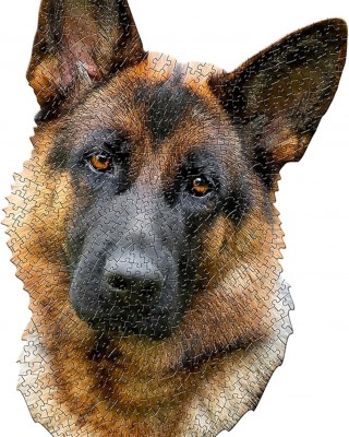 550 κομμάτια I AM SHEPHERD