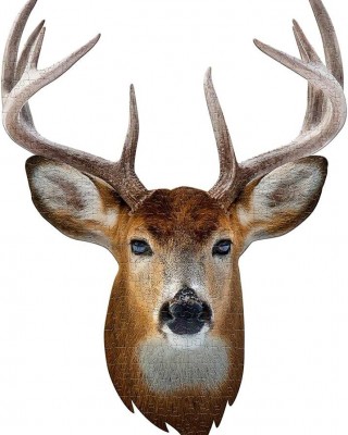 550 κομμάτια I AM BUCK