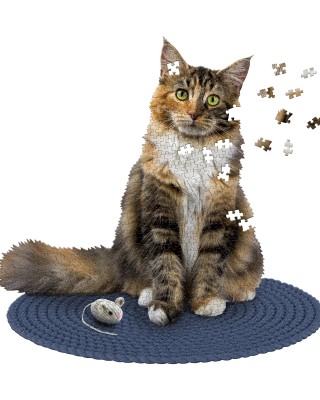 550 κομμάτια I AM CAT