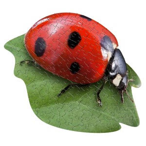 100 μεγάλα κομμάτια I AM LADYBUG