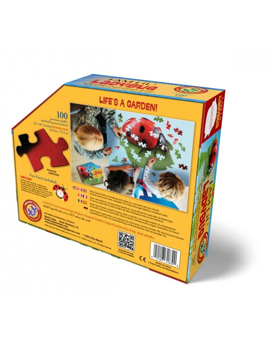 100 μεγάλα κομμάτια I AM LADYBUG