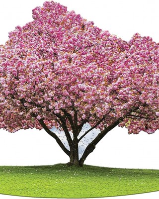 1000 κομμάτια I AM CHERRY BLOSSOM