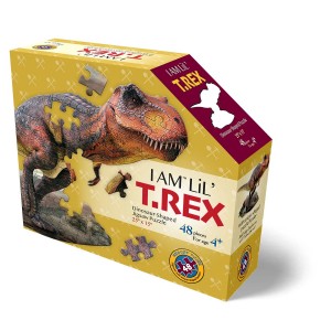 48 κομμάτια I AM LIL' T.REX