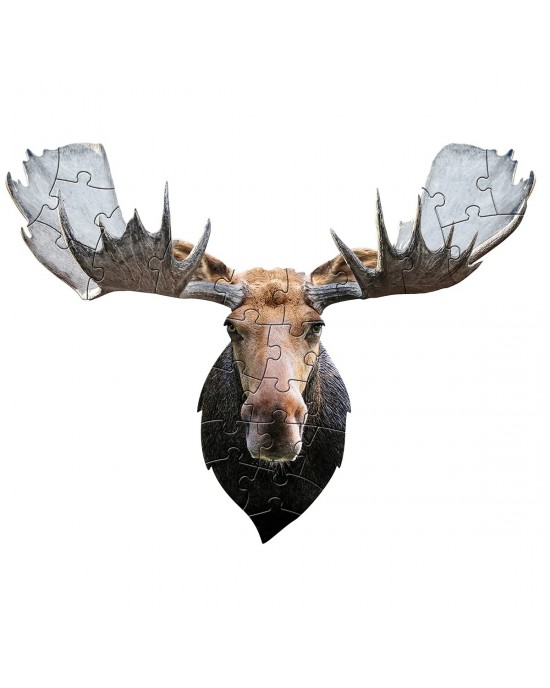 24 μεγάλα κομμάτια I AM MOOSE