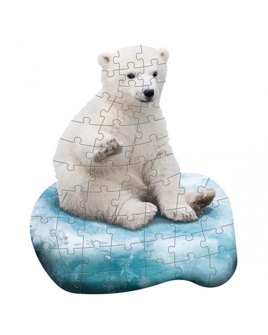 48 κομμάτια I AM LIL' POLAR BEAR