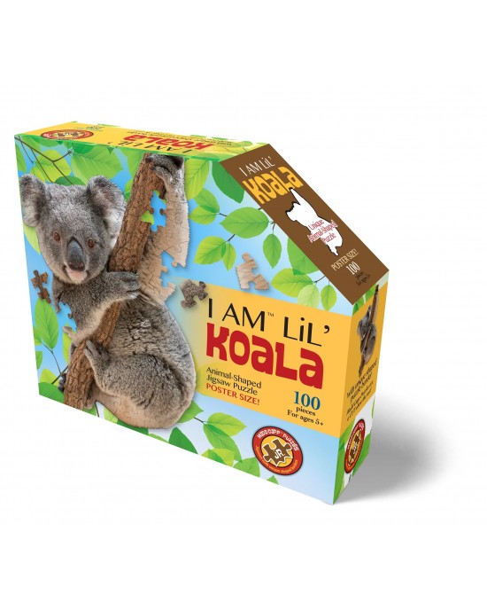100 μεγάλα κομμάτια I AM KOALA