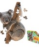 100 μεγάλα κομμάτια I AM KOALA