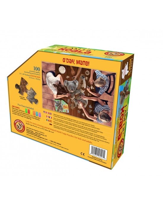 100 μεγάλα κομμάτια I AM KOALA