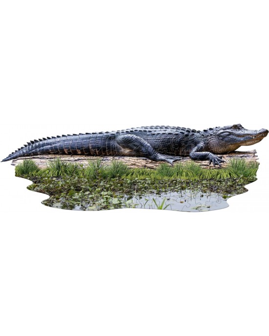 100 μεγάλα κομμάτια I AM LIL' GATOR