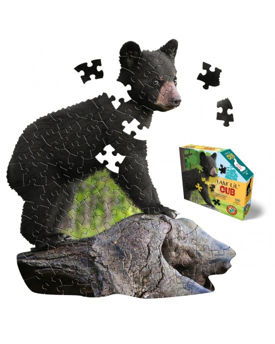 100 μεγάλα κομμάτια I AM CUB