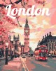 Ζωγραφική με αριθμούς London in Bloom 40x50cm