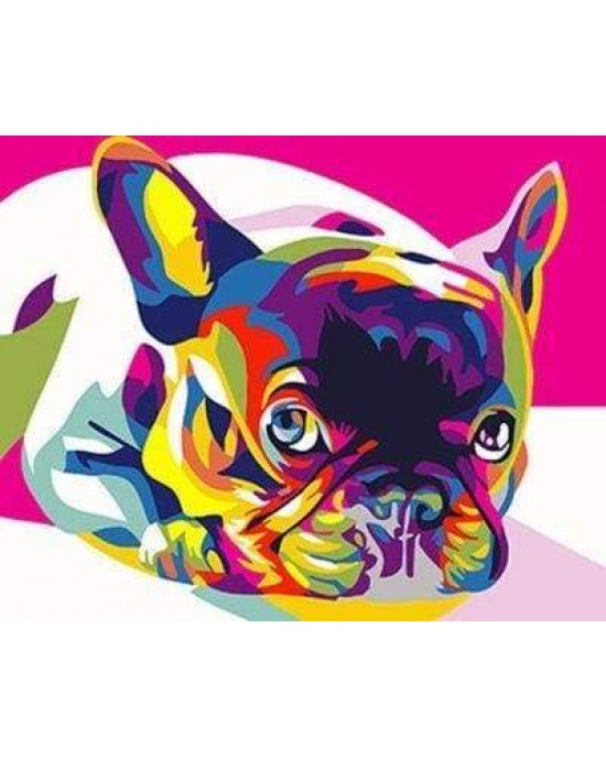 Ζωγραφική με αριθμούς Carlin Pop Art 40x50cm