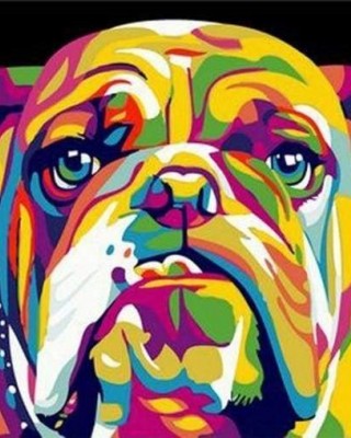 Ζωγραφική με αριθμούς Bulldog Pop Art 40x50cm