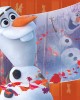 12+16+20+24 κομμάτια FROZEN II - MOMENTS IN TIME