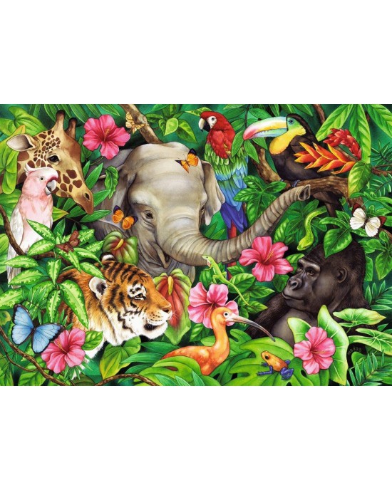 60 κομμάτια TROPICAL FRIENDS