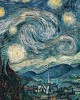 1500 κομμάτια THE STARRY NIGHT, JUNE 1889