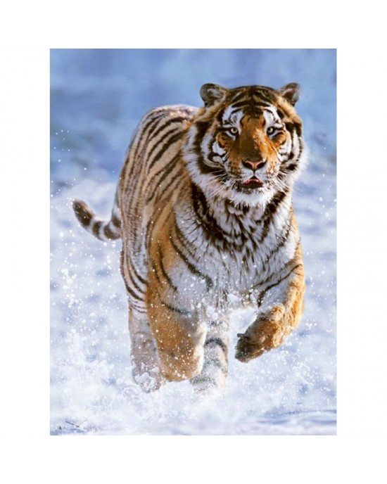 500 κομμάτια TIGER IN WINTER