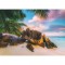 1000 κομμάτια SEYCHELLES PARADISE