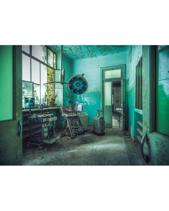 1000 κομμάτια THE ASYLUM