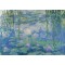 1000 κομμάτια WATERLILLIES