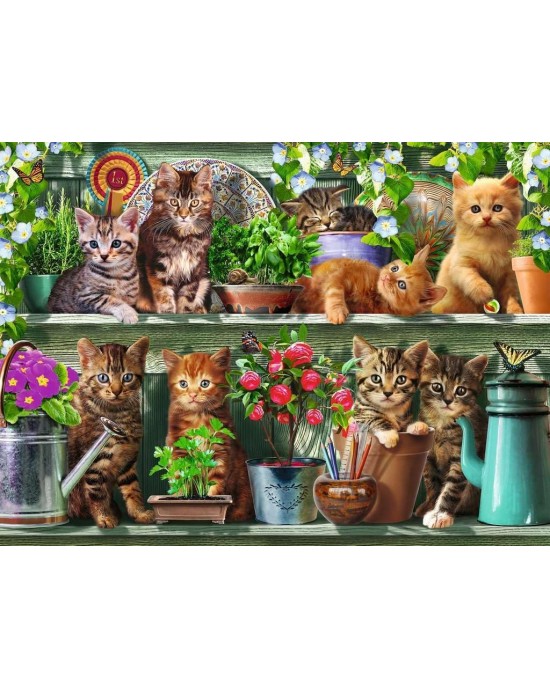 500 κομμάτια CATS ON THE SHELF