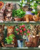 500 κομμάτια CATS ON THE SHELF