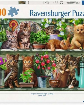 500 κομμάτια CATS ON THE SHELF