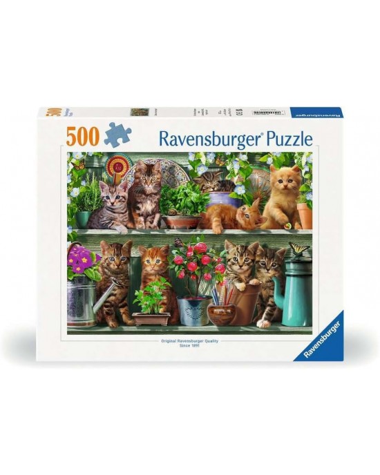 500 κομμάτια CATS ON THE SHELF