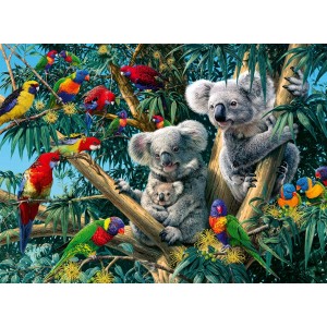 500 κομμάτια KOALAS IN A TREE