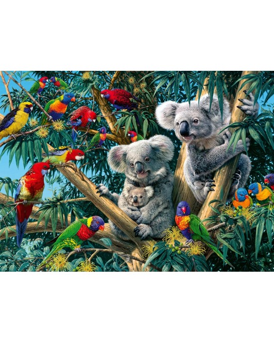 500 κομμάτια KOALAS IN A TREE