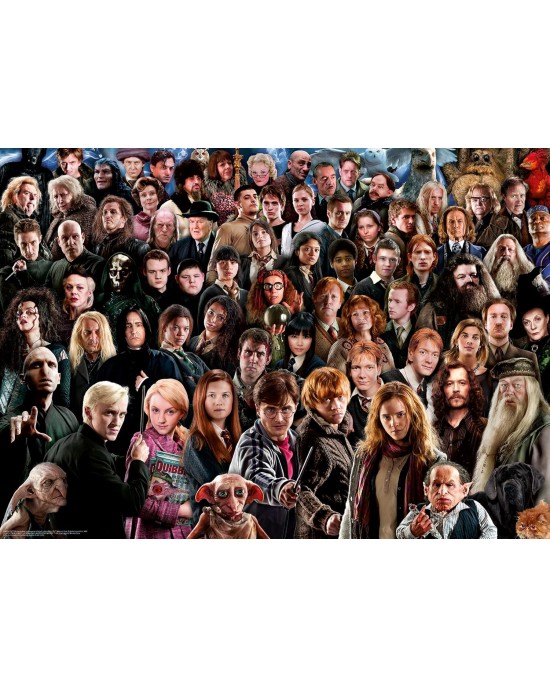 1000 κομμάτια HARRY POTTER CHALLENGE