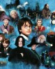 1000 κομμάτια HARRY POTTER'S MAGIC WORLD