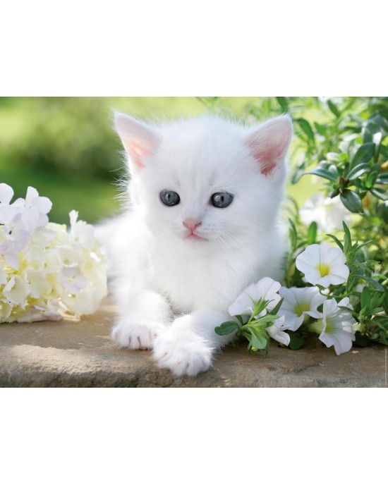1500 κομμάτια WHITE KITTEN