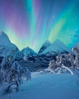 1500 κομμάτια THE ARCTIC SHOW