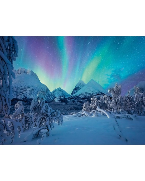 1500 κομμάτια THE ARCTIC SHOW