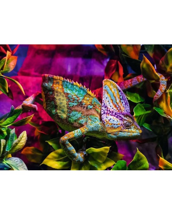 500 κομμάτια CHAMELEON