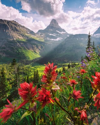2000 κομμάτια PRISTINE MOUNTAINS