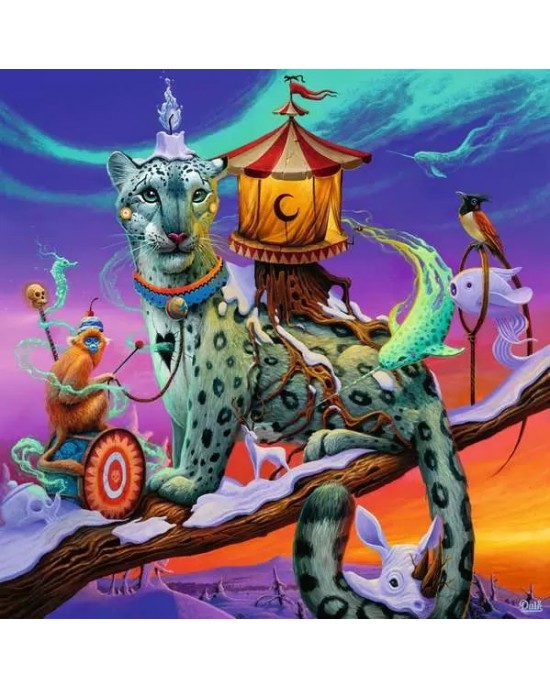 500 κομμάτια BOREAL