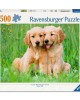 500 κομμάτια THE GOLDEN RETRIEVER BROTHERS