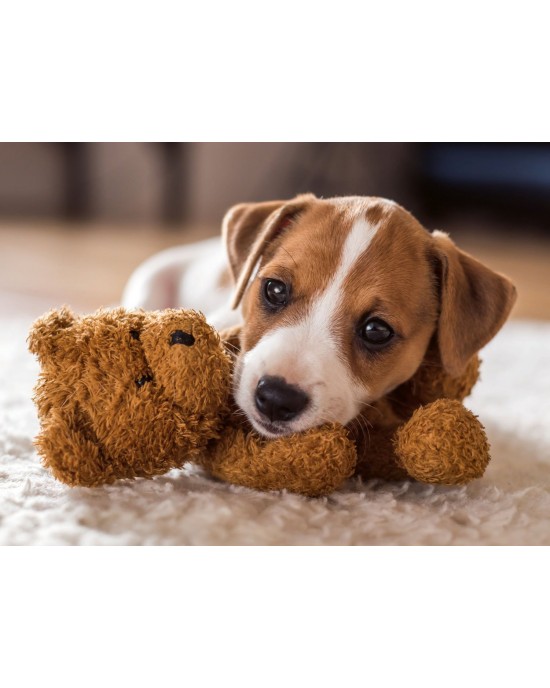 500 κομμάτια CUDDLE BUDDIES