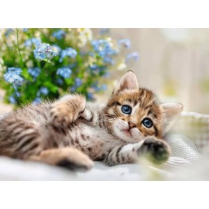 500 κομμάτια A BOUQUET OF SWEETNESS