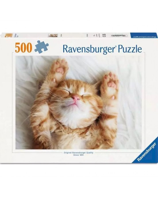 500 κομμάτια LITTLE DREAMER